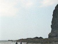 135image30