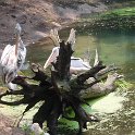 DSC00041
