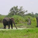 DSC00044