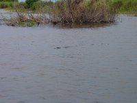 DSC00004