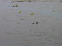 DSC00005