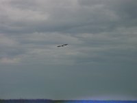 DSC00015