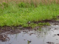 DSC00017