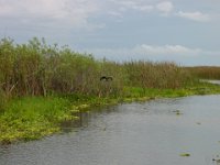 DSC00020