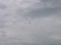 DSC00024