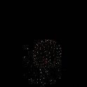 DSC00006