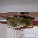 DSC00020