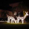 HouseReindeer5