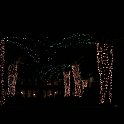 CaymanWestinXmasLights