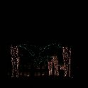 CaymanWestinXmasLights1