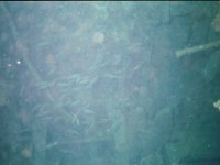 Image002