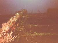 Image001
