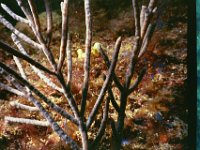 Image005
