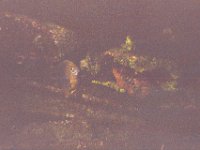 Image015