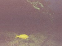 Image020