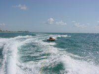 Dsc02175