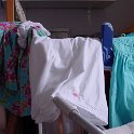 DSC00344