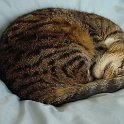 DSC00347