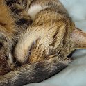 DSC00348