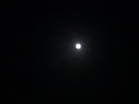 Dsc05274
