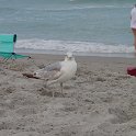 DSC01683