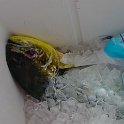 DSC01713