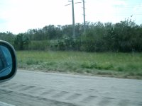 CIMG1628