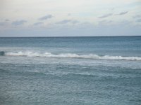 DSC00340