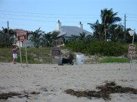 DSC00341