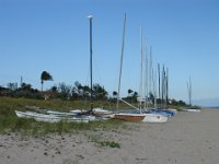 DSC00342