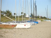 DSC00343