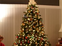 DSC00421