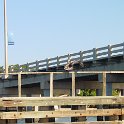 DSC01656