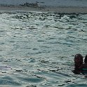 DSC01744