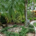 DSC00016