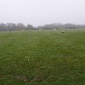 DSC00098