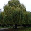 DSC00115
