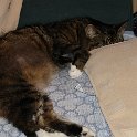 DSC00254