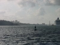 DSC01778