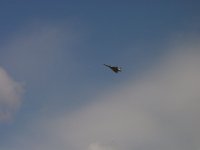 DSC01917