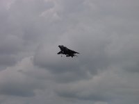 DSC01924