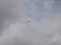 DSC01926