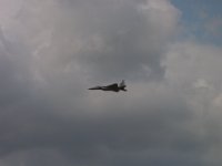 DSC01941