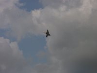 DSC01946