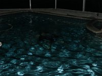 DSC00606