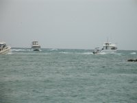 DSC01079
