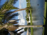 DSC00664