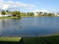 DSC00665