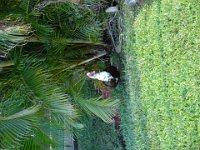 DSC00666