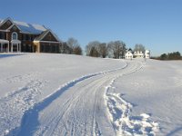 DSC00540